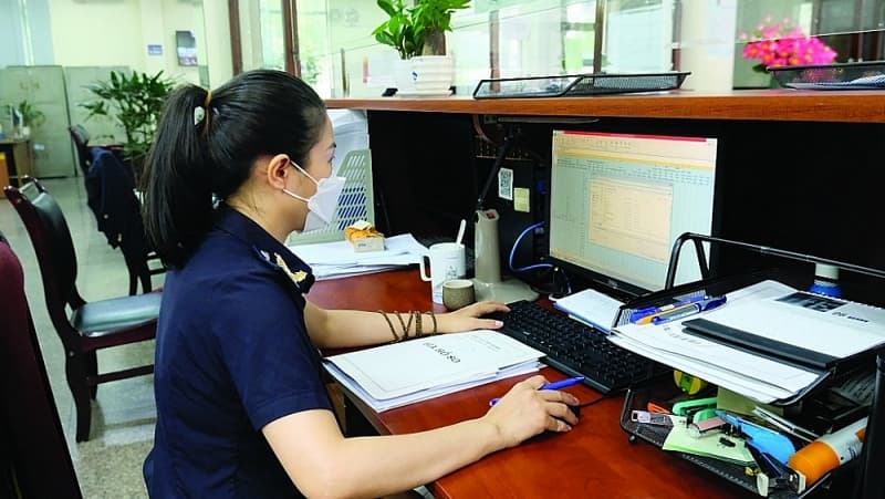 Hanoi Customs: Building a online professional environment