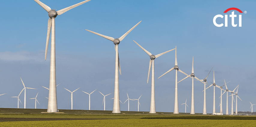 Citi works towards sustainability and client support in Vietnam