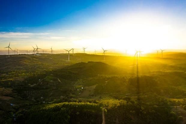 Renewable energy sources not fully tapped: experts