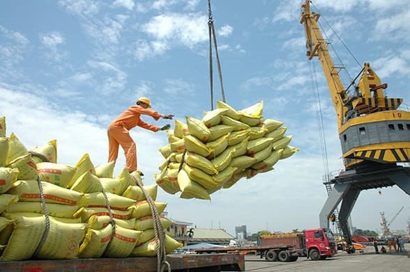 Vietnam’s rice exports jump 20% in seven months