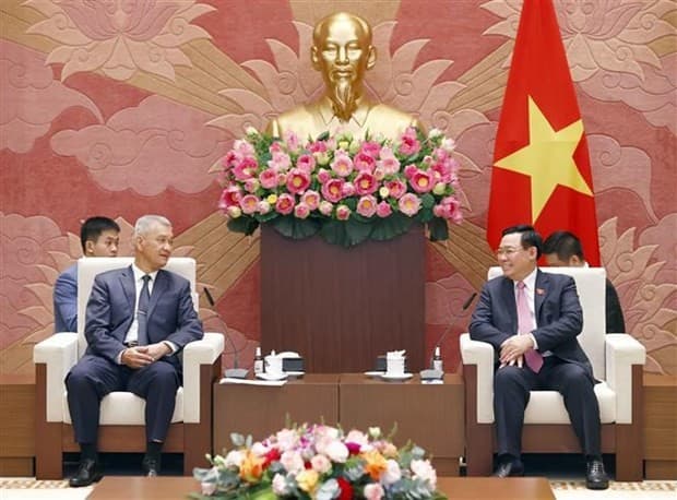 Vietnamese legislature ready to share experience with Laos: top legislator