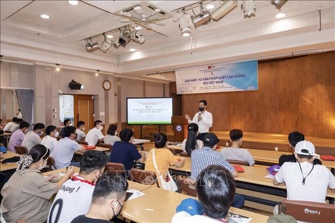 Concern of Vietnamese guest workers in RoK cleared up