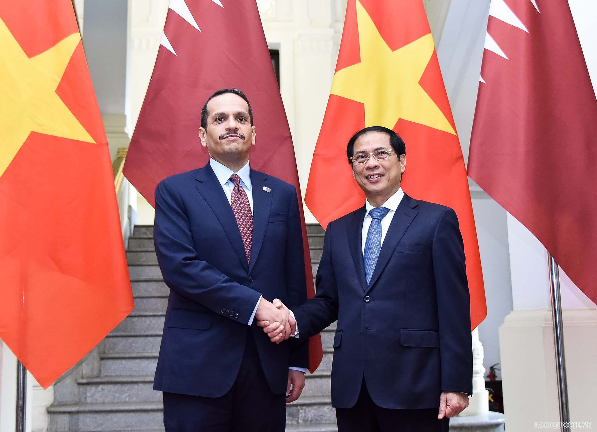 FM Bui Thanh Son held talks with Qatari Deputy PM, FM Sheikh Mohammed bin Abdulrahman Al-Thani