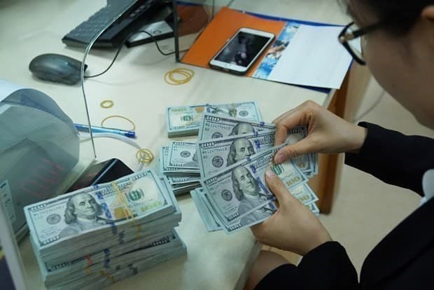 Reference exchange rate up 7 VND at week’s beginning