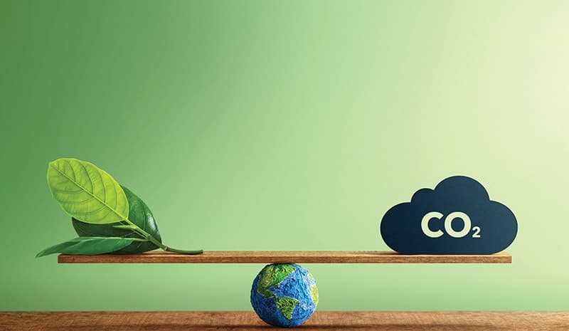 Green standards top policies for fresh foreign ventures