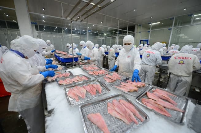 Opportunities for Sustainable Exports from New-generation FTAs