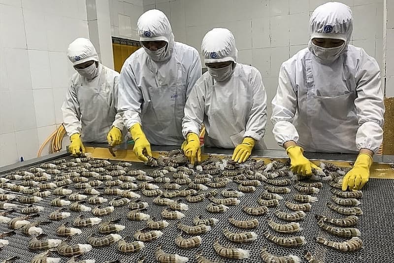 Shrimp businesses respond flexibly to the market