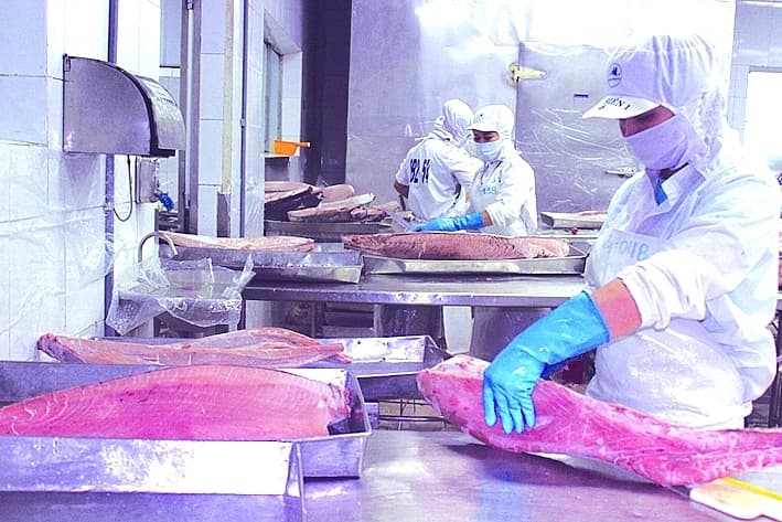 What impact do many foreign currencies depreciate on import and export of Vietnamese goods?