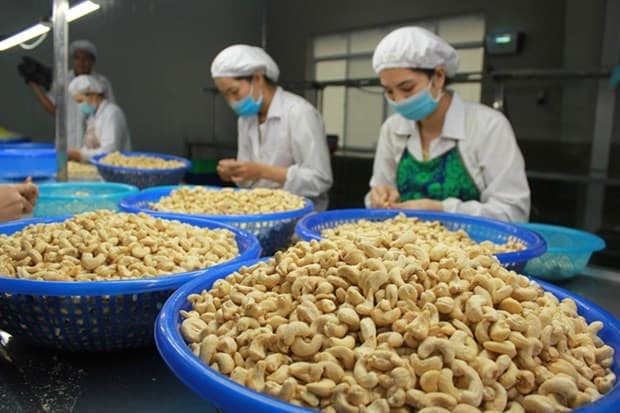 Firms must work to fully benefit from UKVFTA: Insiders
