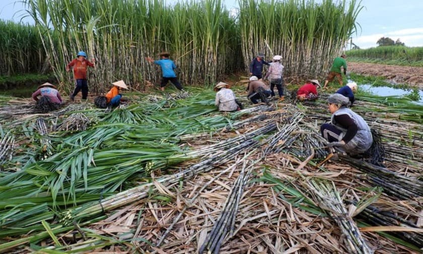 Anti-dumping tax will support sugar industry