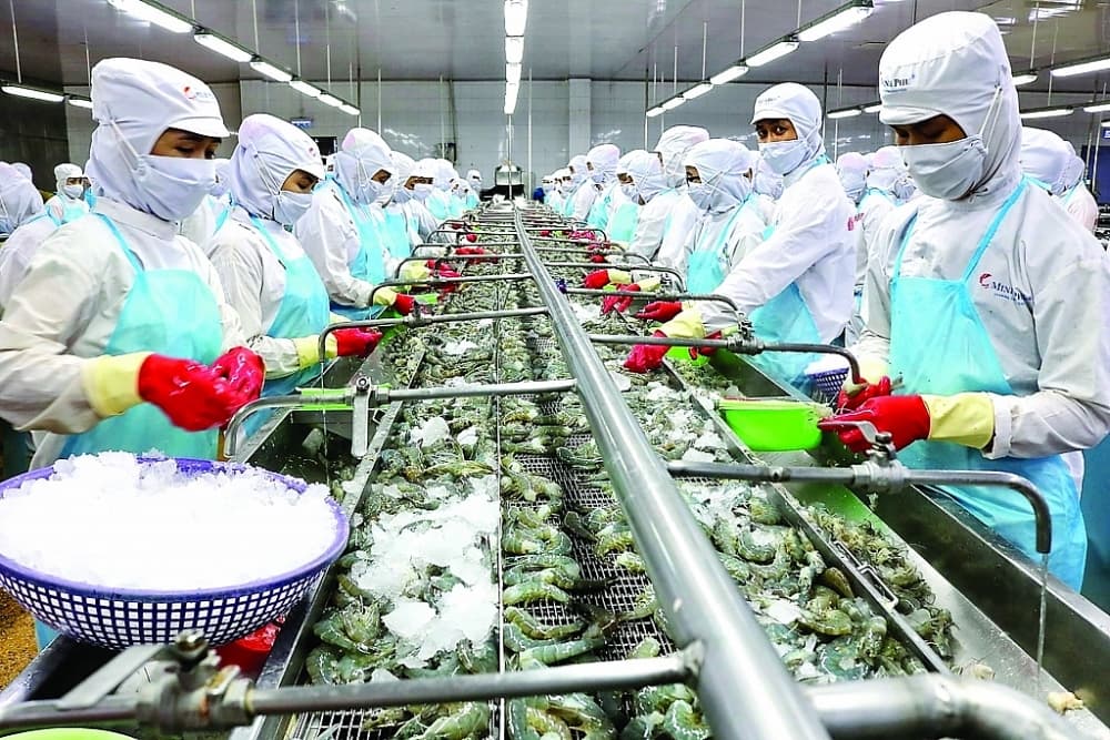 Fully make use of tax incentives from EVFTA, promote exports to high-end markets