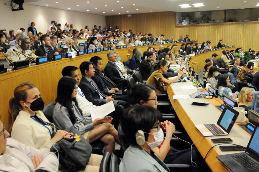 Vietnam contributes to negotiations for BBNJ instrument