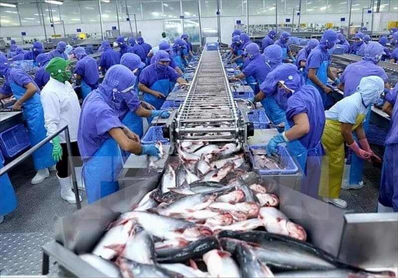 Room for exporting sutchi catfish to CPTPP countries
