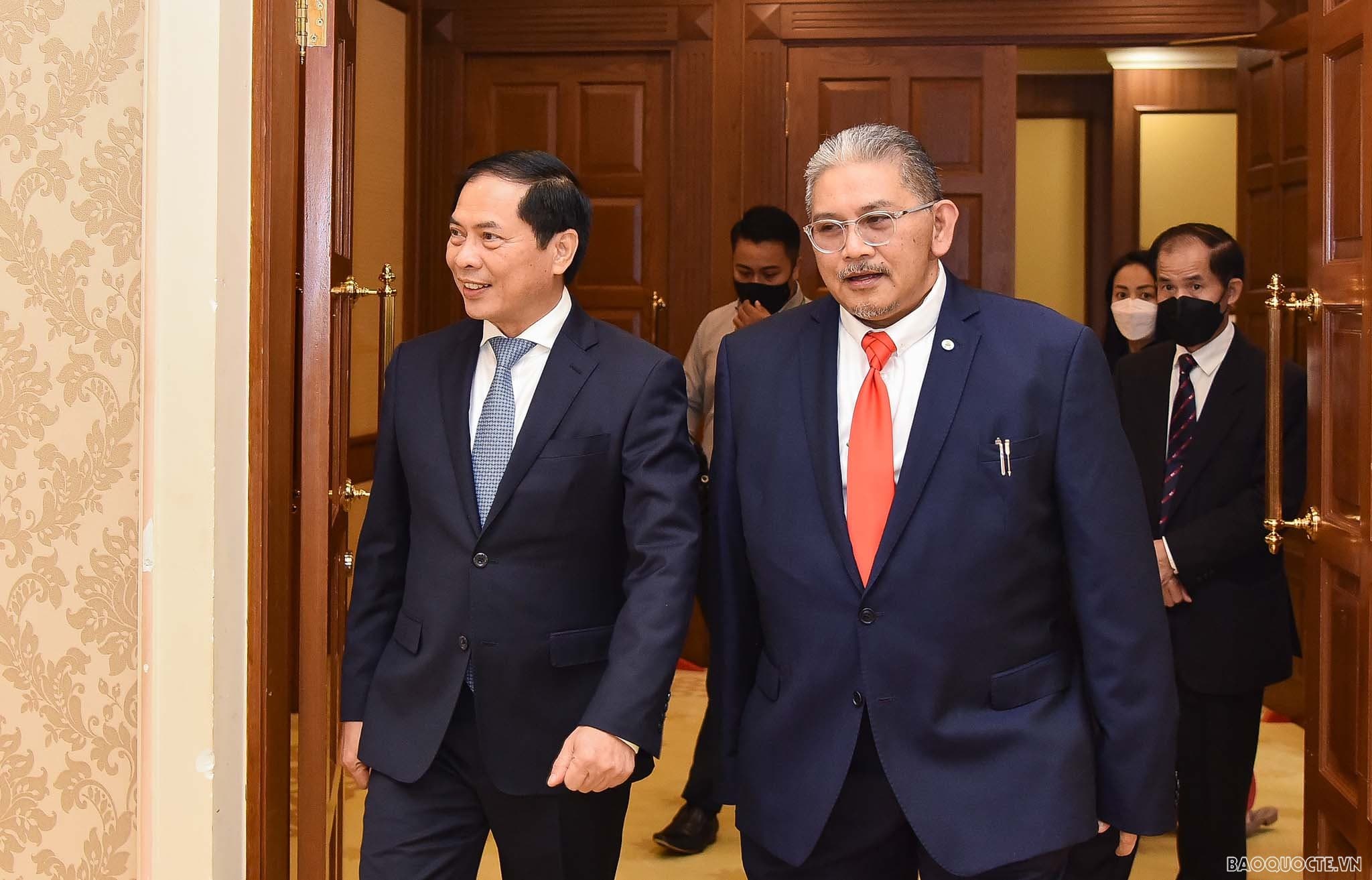 FM Bui Thanh Son visits Brunei Darussalam and co-chairs JCBC-2