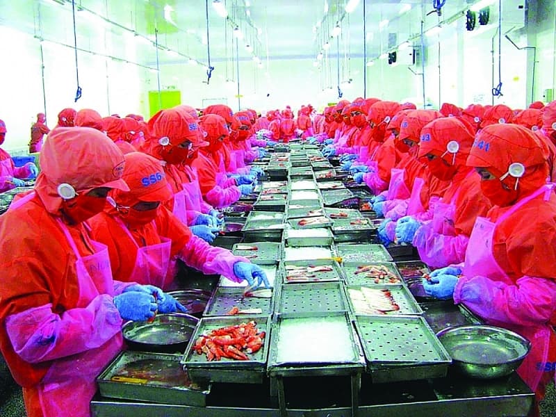 Many opportunities for exporting to South Korea