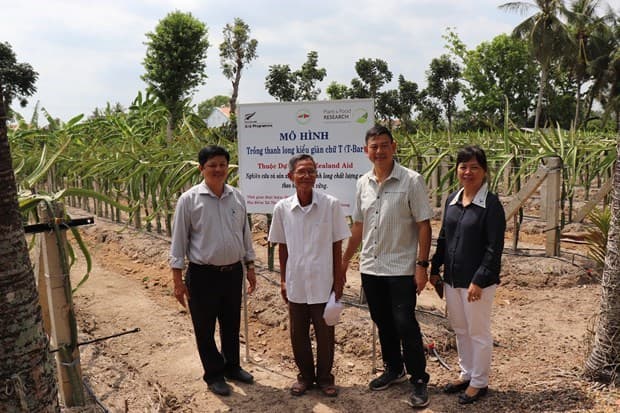 Safe production sustains Vietnam’s fruit export brand