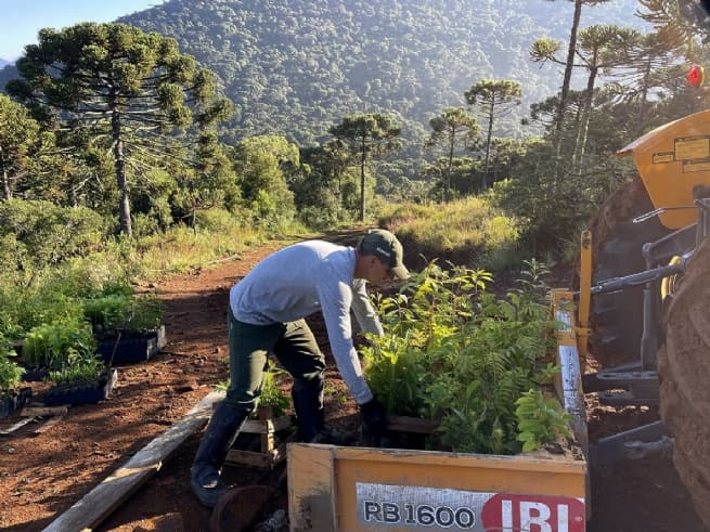 Tetra Pak Highlights New Milestones in Latest Sustainability Report
