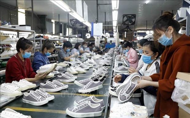 Garment-textile sector must go green to boost exports to EU: experts