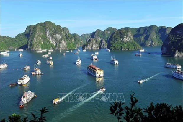 Quang Ninh working hard to develop night-time economy