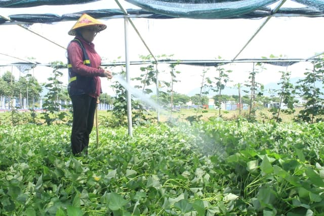 Environment needed to promote impact business
