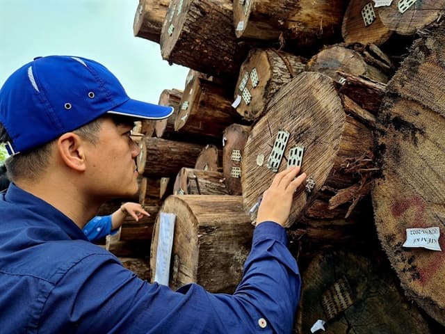 Huge potential for Vietnam's timber exports, but certification a must