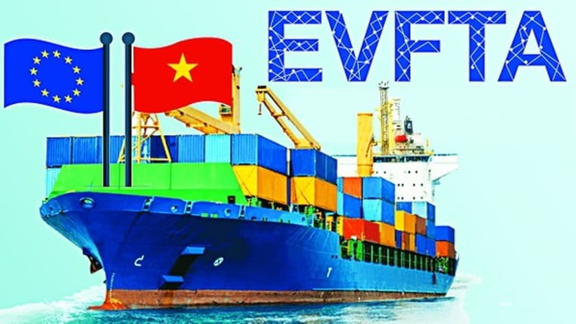 Free trade agreements not yet fully understood