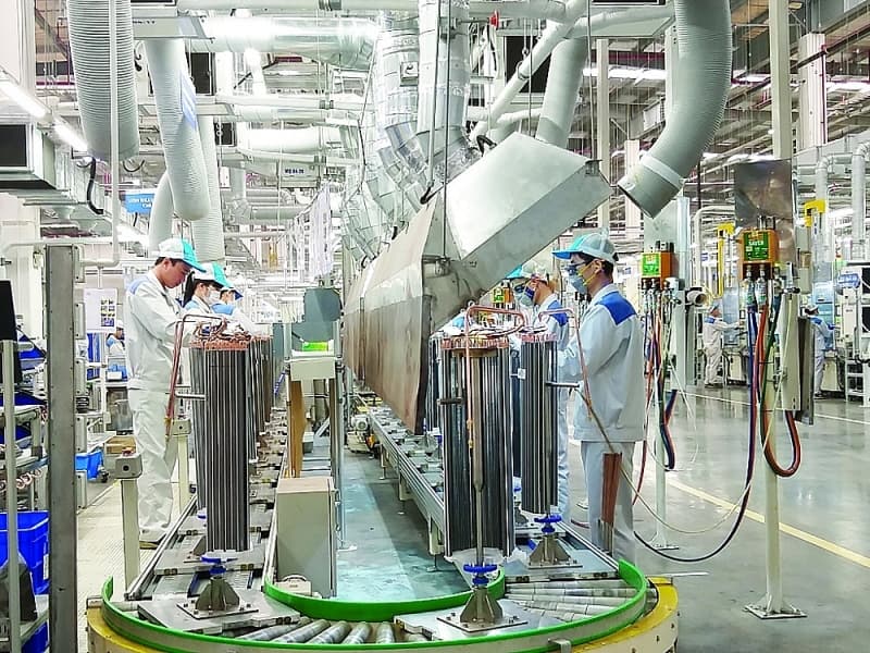 Forming the leading enterprises for Vietnam's industry