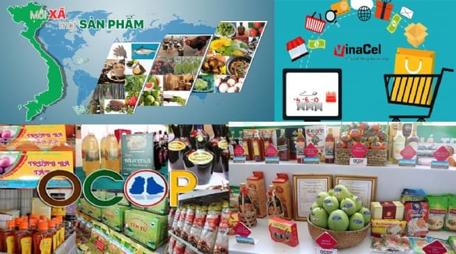 Promoting OCOP Products on E-Commerce Platforms