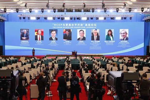Vietnam urges RECP member economies to fully implement commitment
