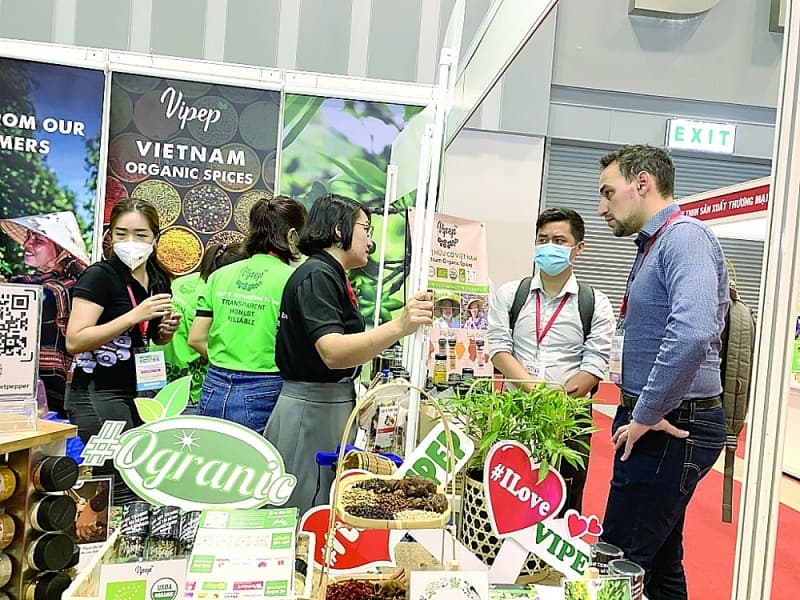 Experience in working with international distributors
