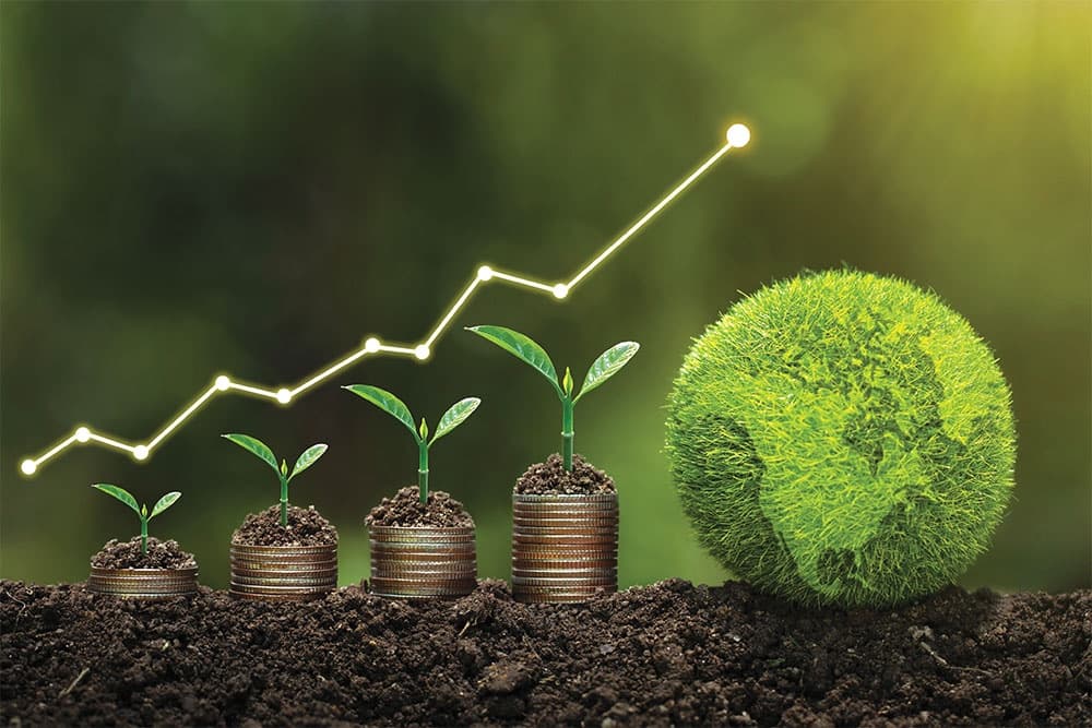 The significant growth of green bonds