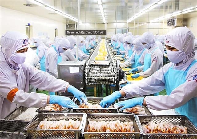 VASEP asks for more loans for seafood enterprises
