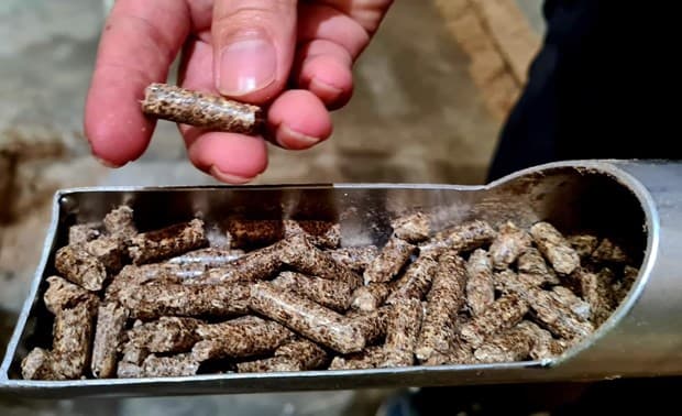 Wood sector to earn more on woodchips, pellets
