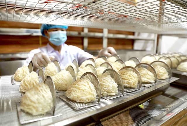 Việt Nam bird's nests to enter Chinese market through official channel