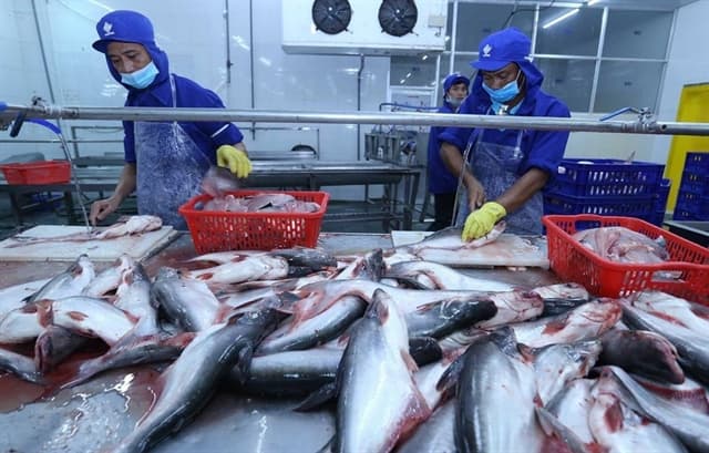 China expected to remain largest export market for Vietnamese pangasius in 2022