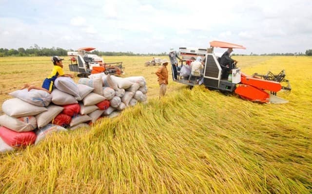 Links between farmers, enterprises vital to agricultural product quality, exports