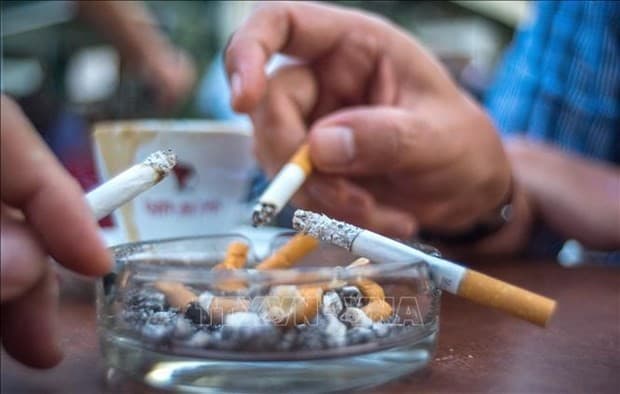 Workshop seeks measures to minimise tobacco use in Vietnam