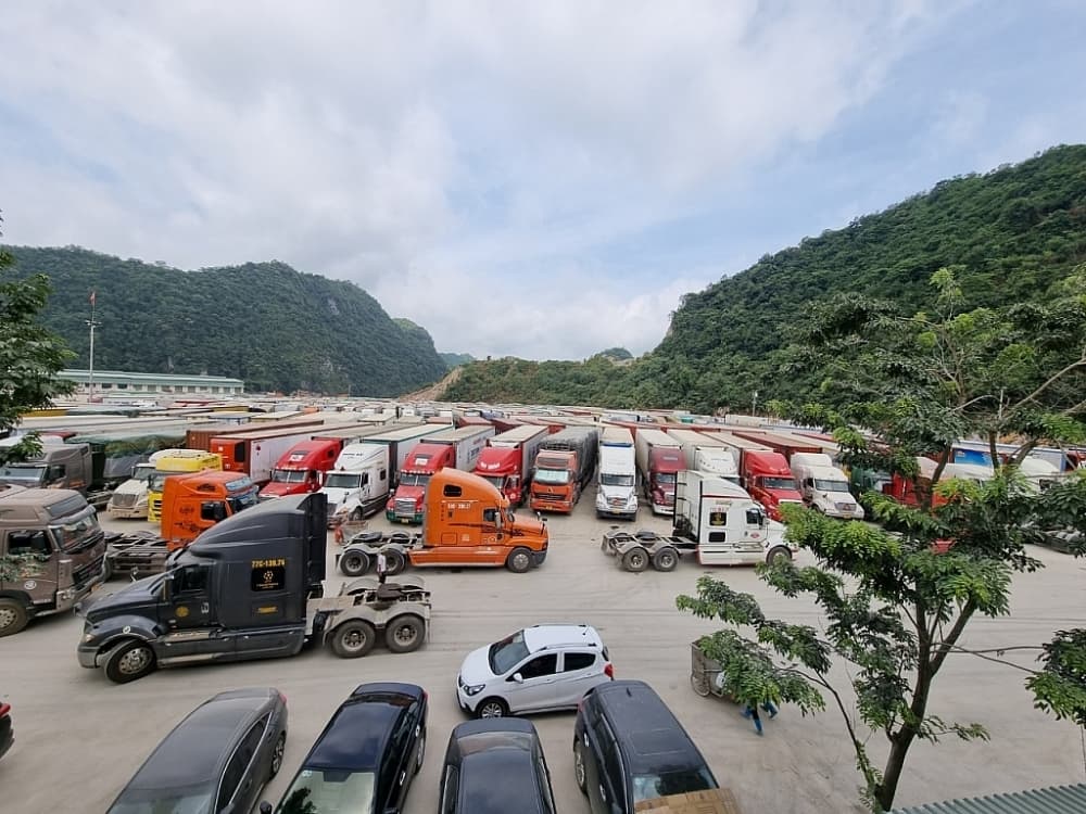 Flexible distribution of dragon fruit, durian to avoid congestion at the border gate