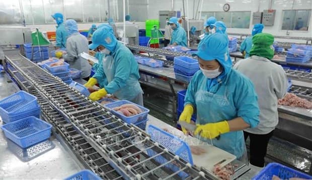 Tra fish nets impressive export growth