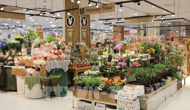 Japan – a "laissez-passer" for Vietnamese goods to global markets: official