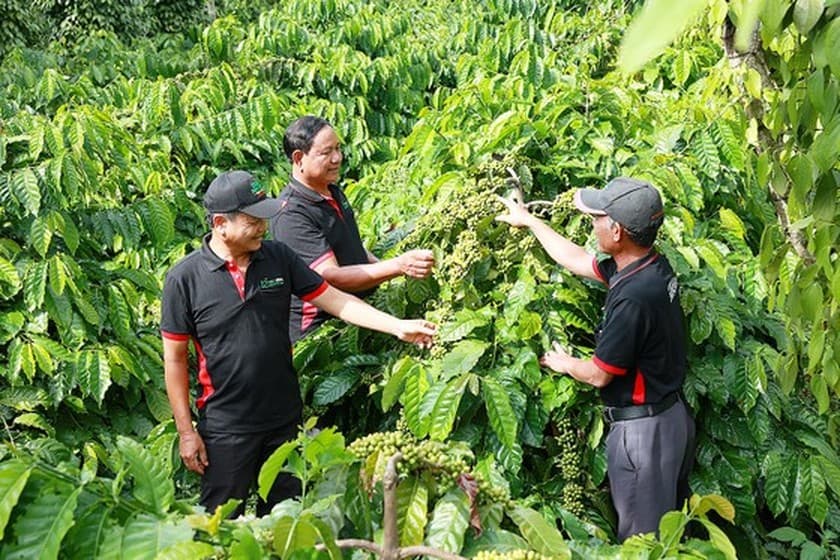 Vietnam promoting zero-emission economy