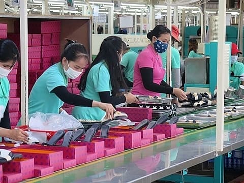 FDI inflows report some improvement on-month