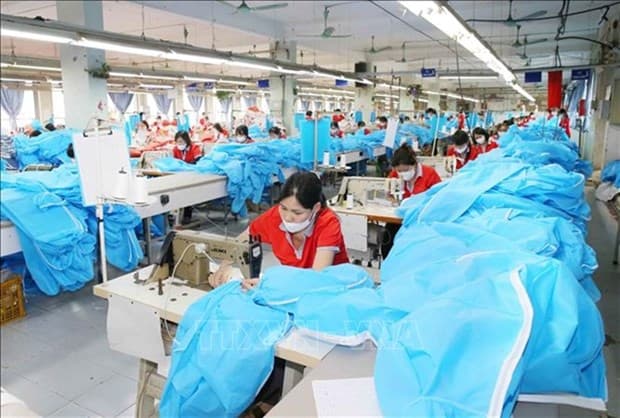 CPTPP still holds untapped potential for Vietnamese businesses