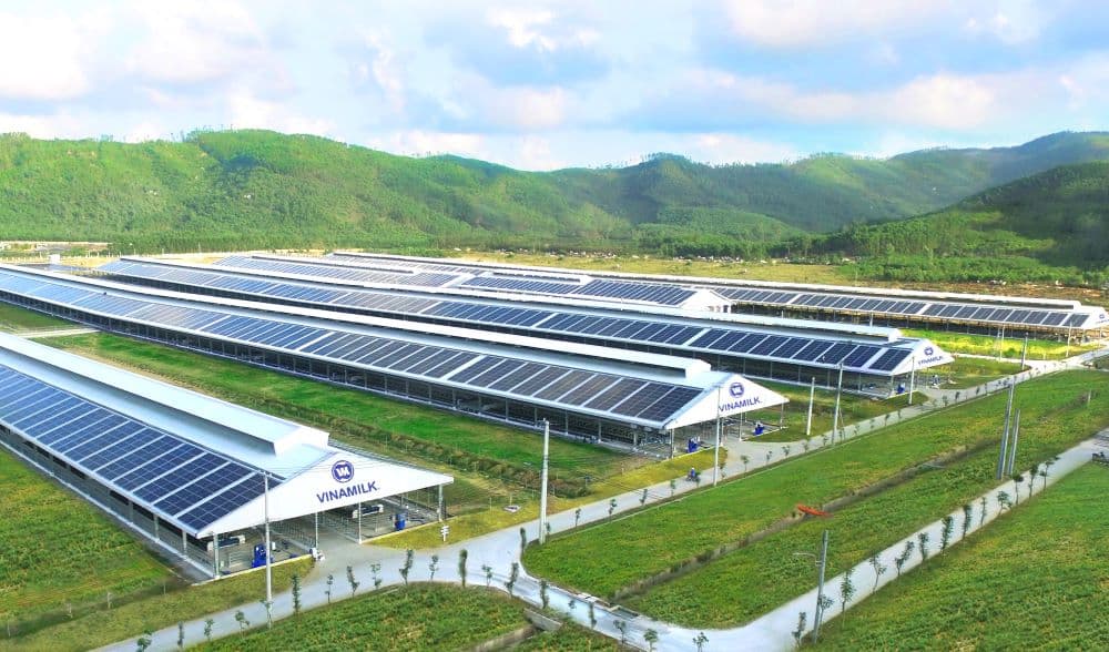 Green Economy: Recommendations for Vietnam