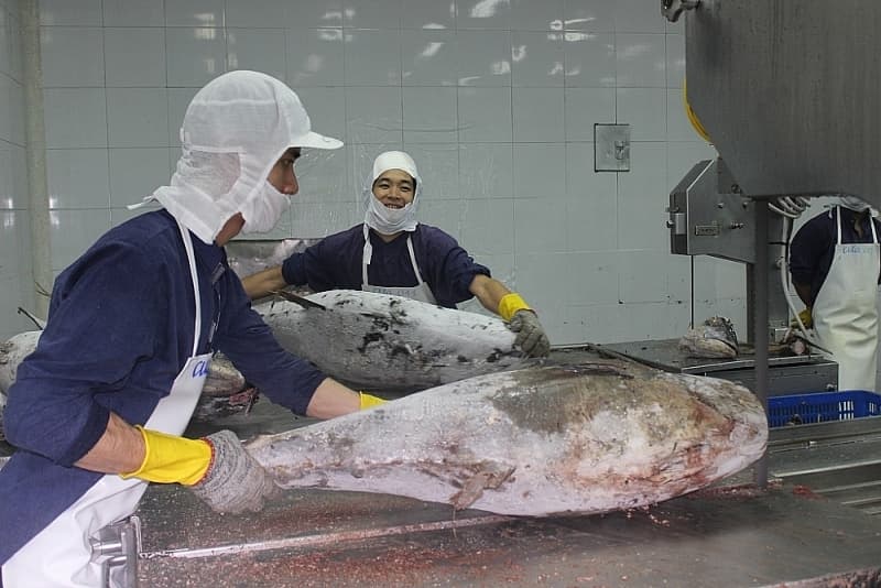 Difficulties in removing the IUU yellow card