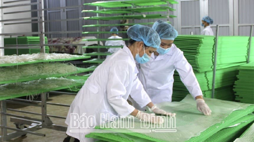 Catholic followers in Nam Dinh stay united to contribute to local and national development