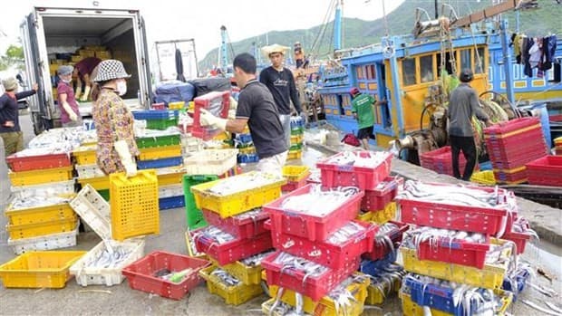 IUU fishing combat requires joint efforts of all coastal localities: MARD