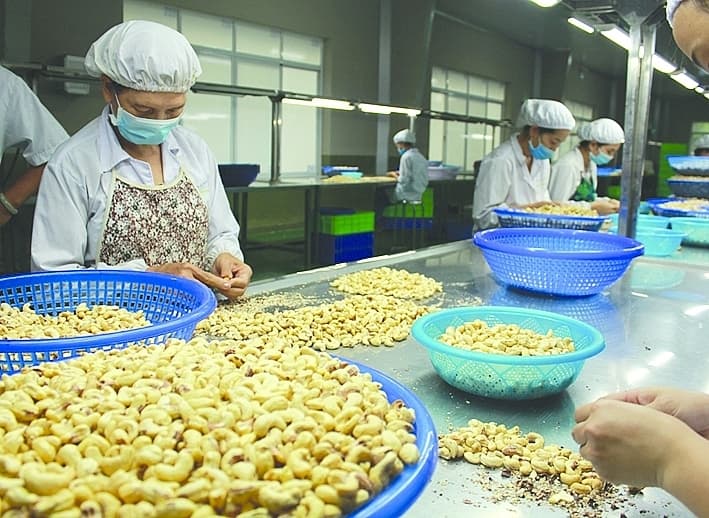 Cambodian agricultural products "land" in Vietnam market