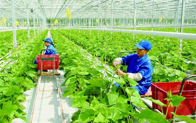 MARD promotes measures to attract investment in agriculture