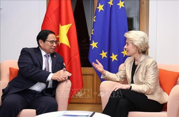 Vietnam rides through economic difficulties